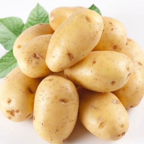Potato-Vegetable delivery-Shenzhen Xiangrui Catering Management Co., Ltd.
