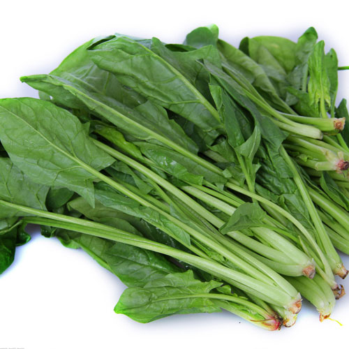 Spinach-Vegetable delivery-Shenzhen Xiangrui Catering Management Co., Ltd.