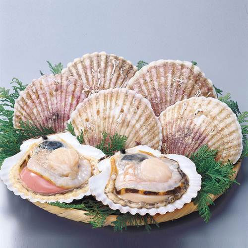 Scallop-Aquatic product distribution-Shenzhen Xiangrui Catering Management Co., Ltd.