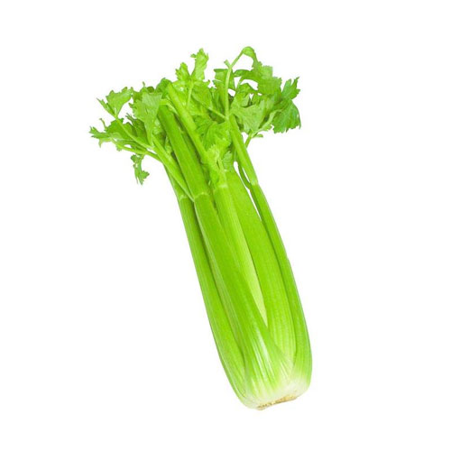 Celery_祥瑞农产品配送Vegetable delivery