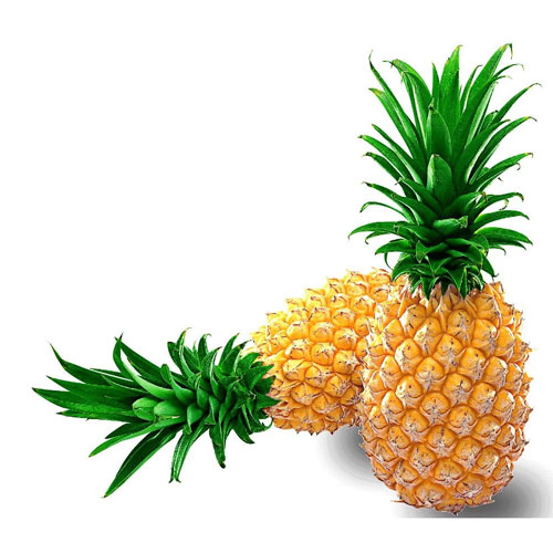 Pineapple_祥瑞农产品配送Fruit delivery