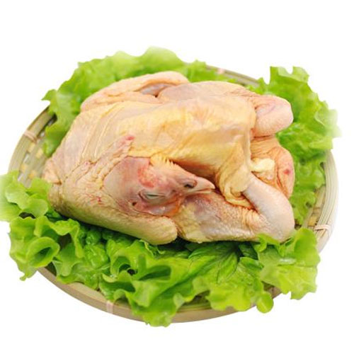 Qingyuan Chicken_祥瑞农产品配送Poultry delivery