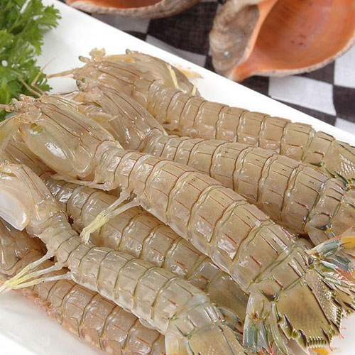 Lazy urine shrimp-Aquatic product distribution-Shenzhen Xiangrui Catering Management Co., Ltd.