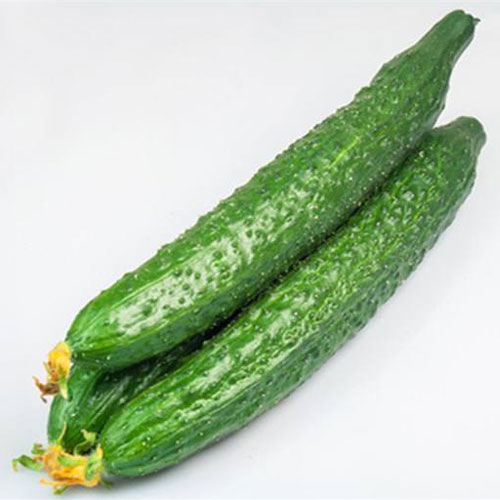 Cucumber_祥瑞农产品配送Vegetable delivery