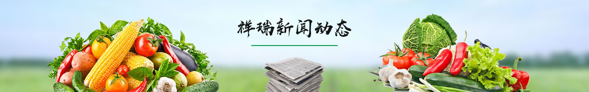 新闻资讯banner_新闻资讯banner_深圳市祥瑞餐饮管理有限公司